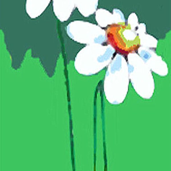 Kamilla virág